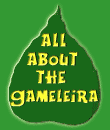 Link to gameleira page